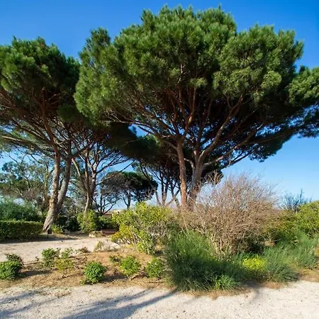 Appartement Entierement Renove Avec Terrasse Saint-Tropez Extérieur photo